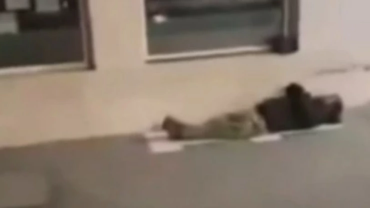 WhatsApp Image 2025-01-03 at 2.43.23 PM.jpeg