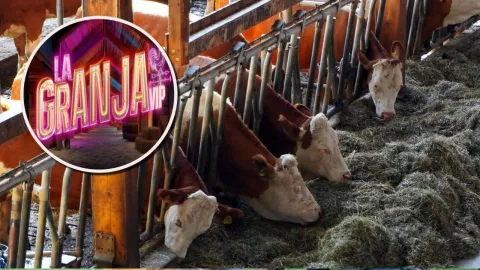 5 herramientas esenciales del establo de La Granja VIP.