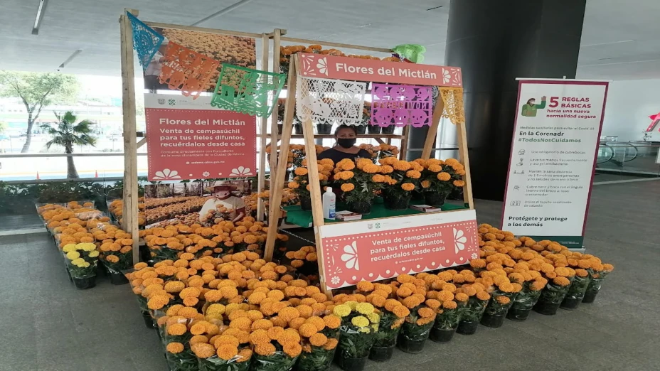 Flores