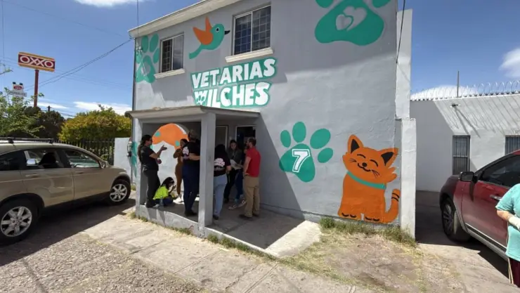 Entregan a perrita Violeta
