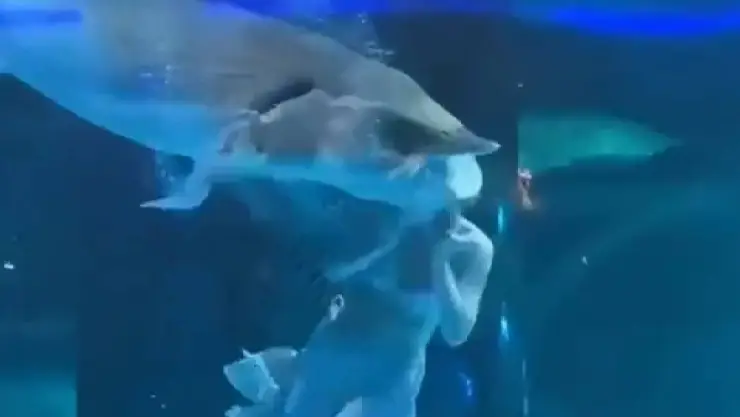 Acuario China