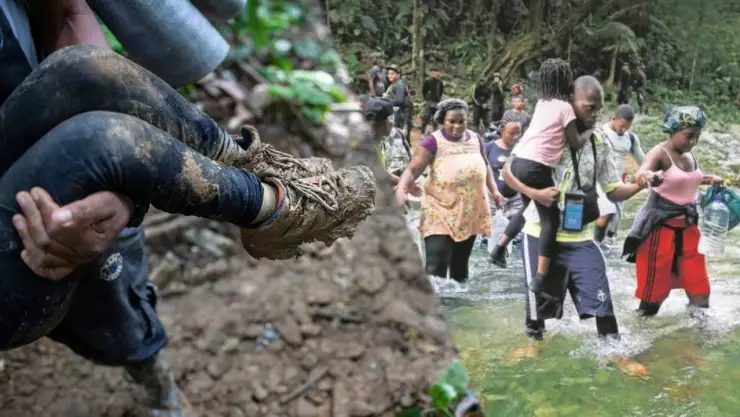 Selva El Darién.jpg