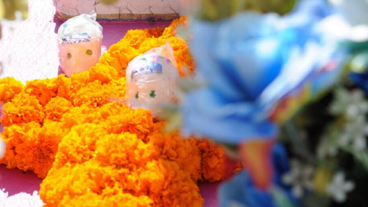 Día de muertos 2024