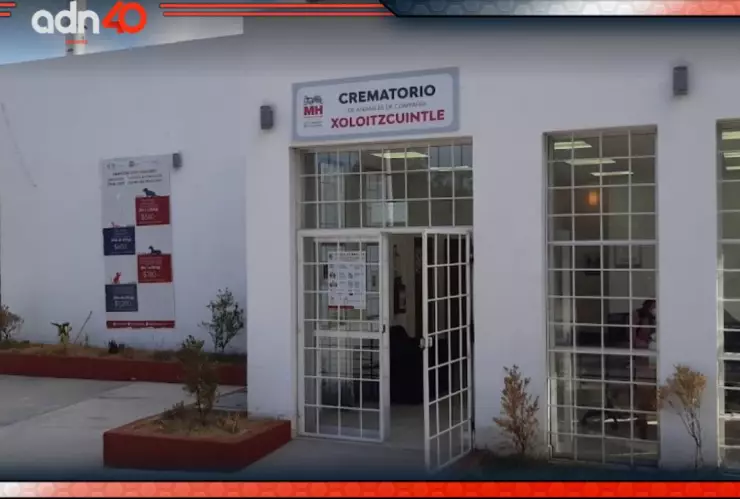 Crematorio Xoloitzcuintle en la CDMX