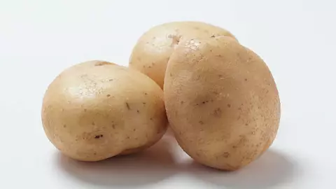 papa