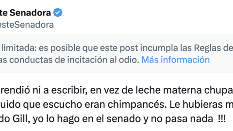 Tweet Senadora Celeste Amarillo
