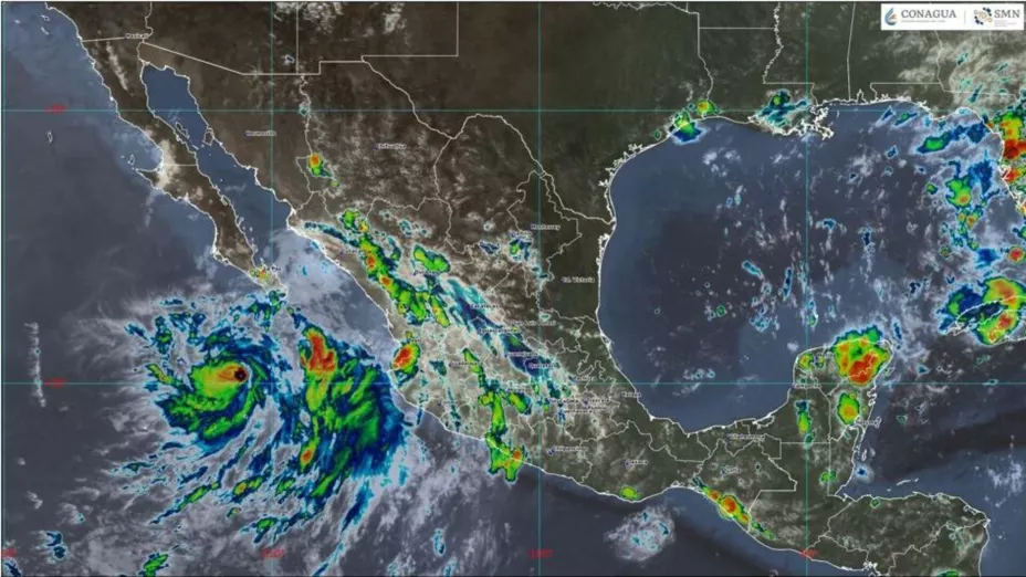 WhatsApp Image 2025-08-08 at 3.5.jpg