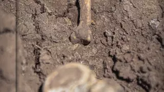 La Rastreadoras de Sonora