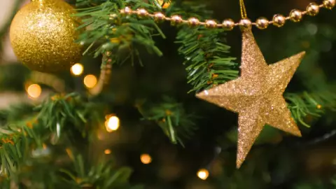 Navidad 2025_ Cuándo colocar el pino.jpg