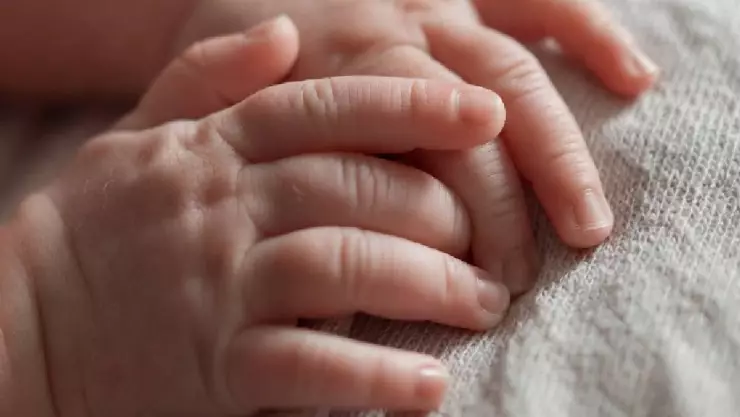 ¡Tragedia! Bebé recién nacido pierde la vida tras brutal ataque del perro de la familia