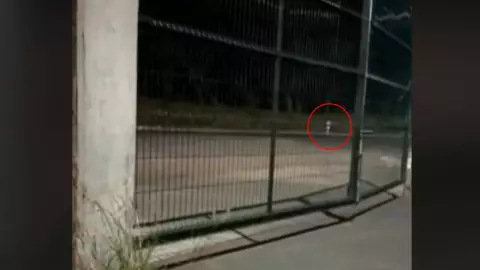 Niña se aparece en pensión de traileros.jpg