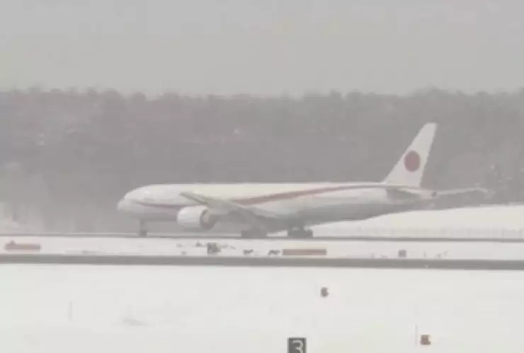 ciervos-cierre-pistas-aeropuerto-japon-video