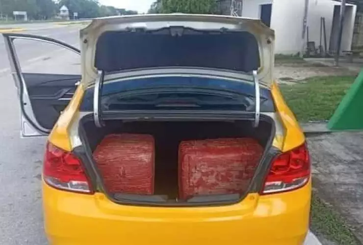 Aseguran 20 kilos de marihuana y detienen a una persona en Bacalar.jpg