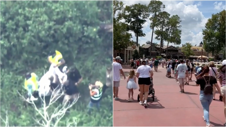 ¿Baloo? Oso se ‘cuela’ en parque Disney y provoca el cierre de atracciones