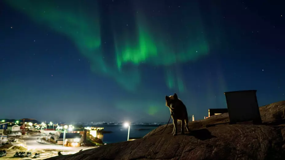 APTOPIX Climate Greenland Sled Dogs