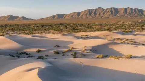 Dunas de Samalayuca, Chihuahua