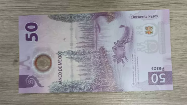 Billete de Ajolote se vende en millones de pesos este 2023 por este error