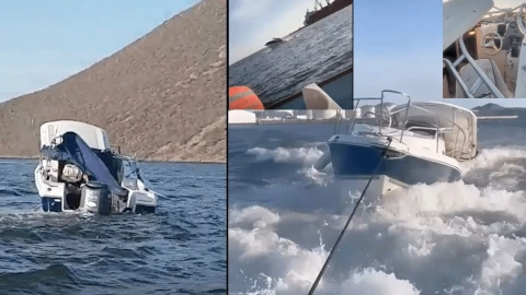 Ballena cae sobre lancha y deja heridos en Sinaloa
