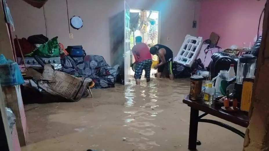 Lluvias y viento dejan colonias anegadas, deslaves y caída de árboles al sur de Veracruz