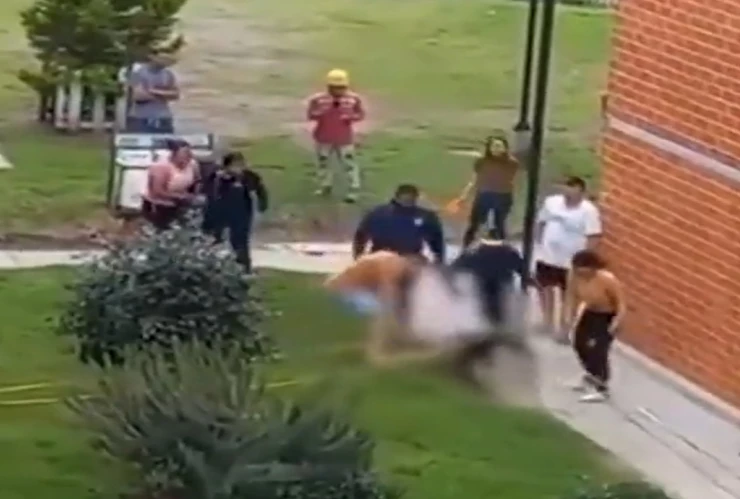 VIDEO: Pitbull mata frente a su dueña a perro más pequeño