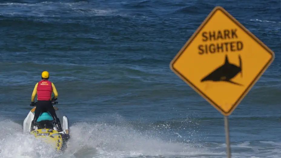 Patrullaje en la playa de Dee Why, en Sydney, tras el ataque de un tiburón.