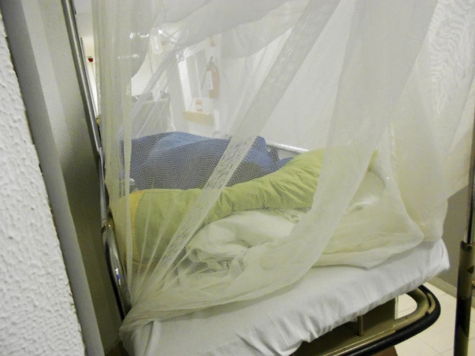 Casos dengue