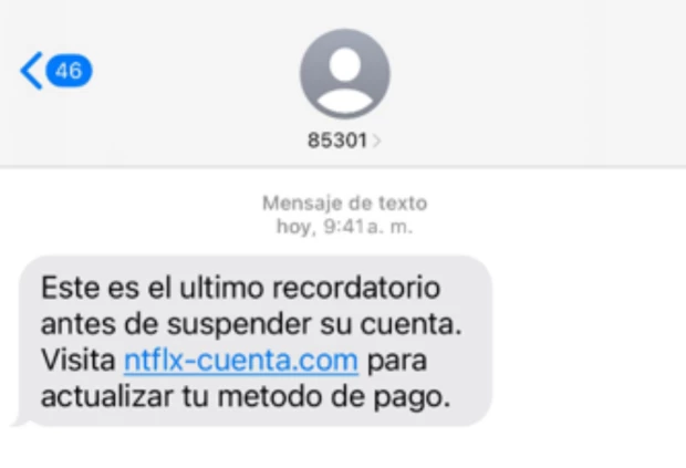 Robo de cuentas Netflix