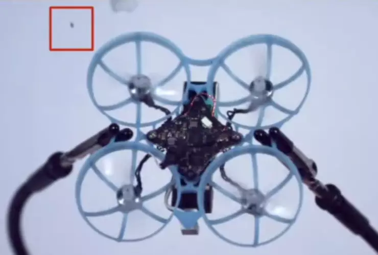 Tornyol: Microdron que elimina mosquitos de manera efectiva