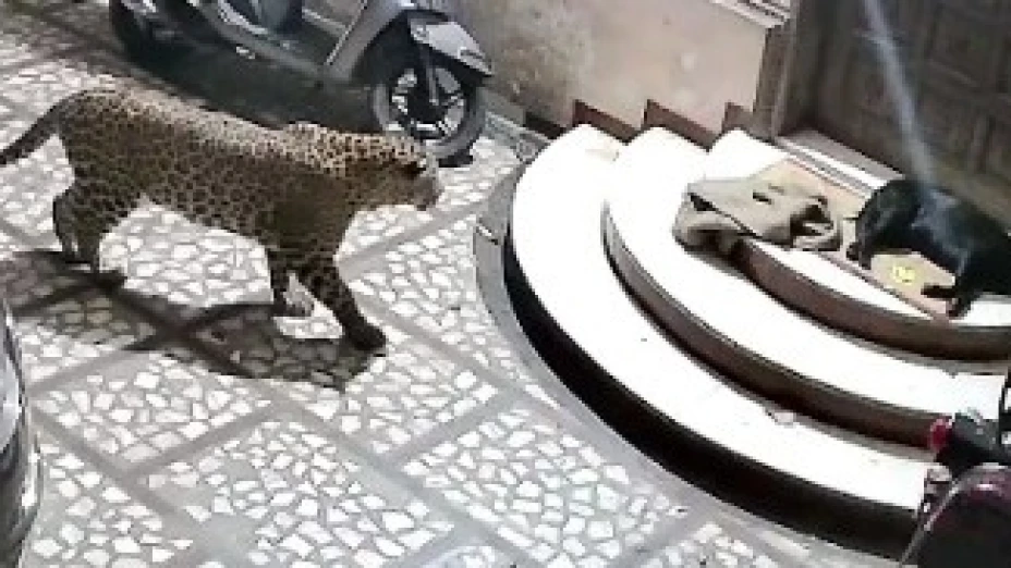 WhatsApp Image 2023-08-09 at 2.42.15 PM.jpeg