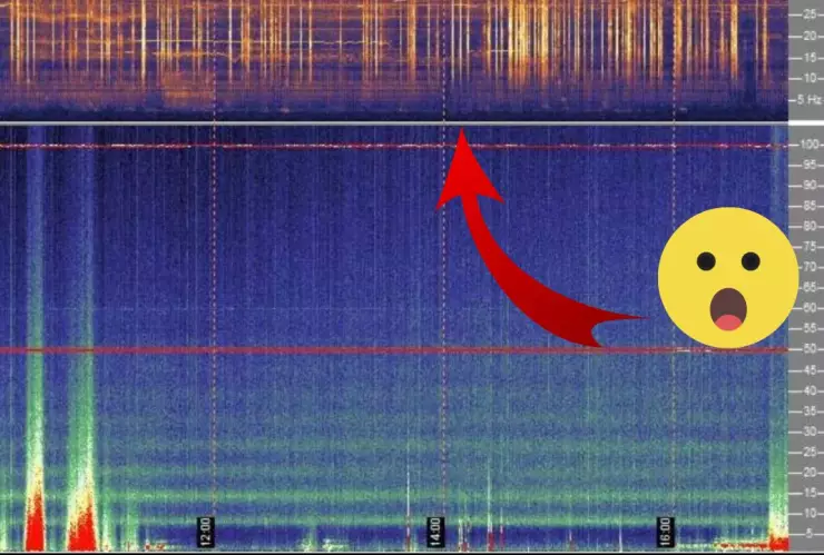 Diseño sin título - 2024-04-11T131249.372.jpg