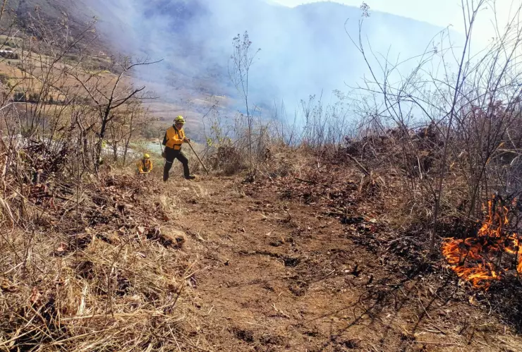 Combaten incendios en Veracruz.