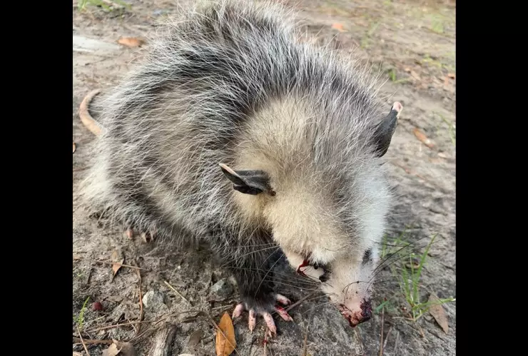 WhatsApp Image 2020-01-14 at 6.39.41 PM.jpeg