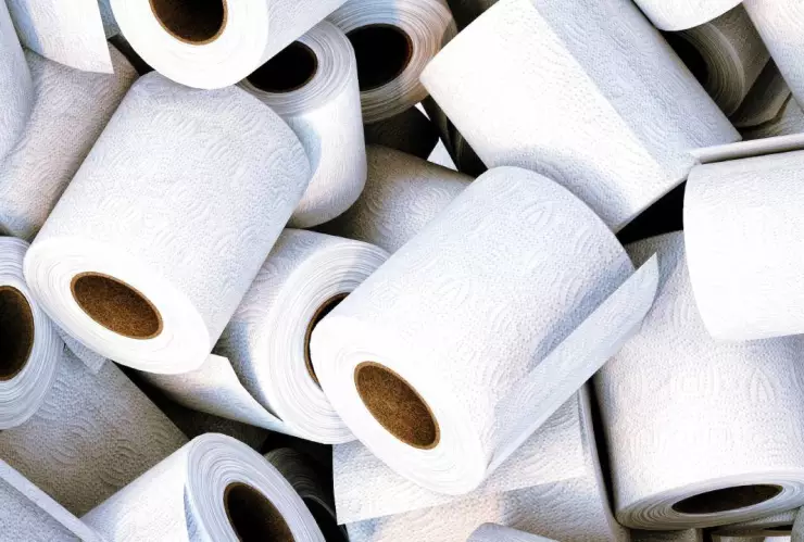 Por esta razón no se puede usar el papel higiénico en algunos países