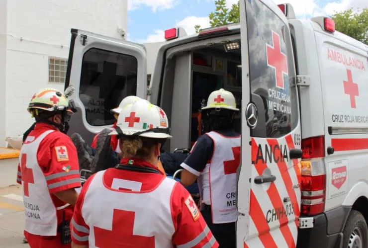 z - 2024-02-26T115642.995.jpg