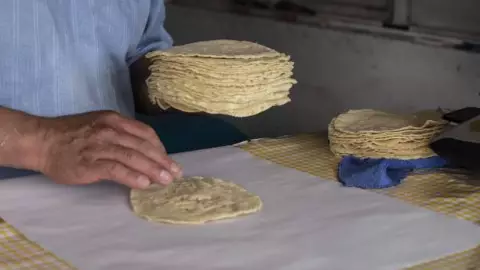 Este es el precio del kilo de la tortilla en todos los estados
