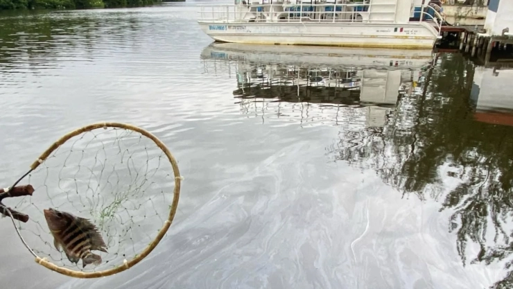 derrame-hidrocarburo-en-dos-bocas-provoca-mortandad-peces-y-alerta-en-tabasco.jpg