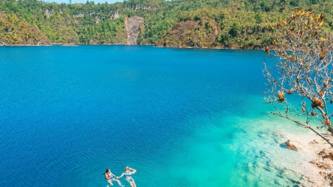 Isla de las Orquídeas