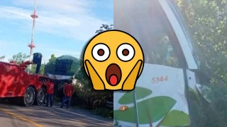 Autobús es encontrado tras accidente sin chofer ni pasajeros: ¿Qué ocurrió en la Chetumal - Mérida?