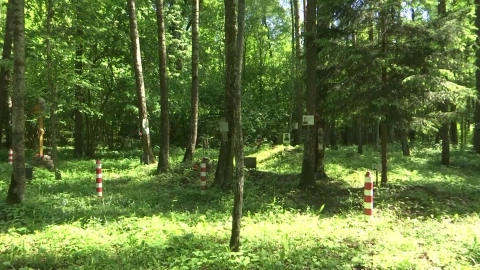 Los sitios donde descansan los restos de las vícitmas de la Gran Purga están marcados en la zona boscosa de Kommunarka, a las afueras de Mouscú. Algunos incluso cuentan con la fotografía y la historia de la persona enterrada en ese lugar.