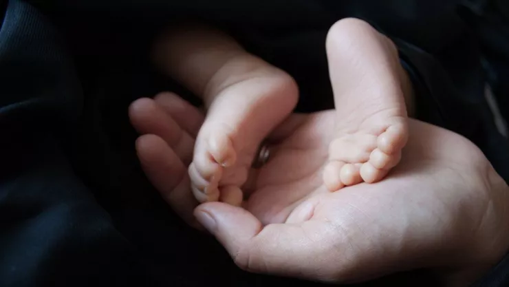 Localizan 6 cuerpos de recién nacidos en entrada de panteón en Santo Domingo, Puerto Rico