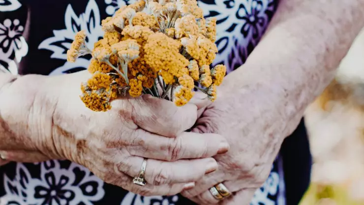 ¿Por qué en México se celebra el Día de los Abuelos hoy 28 de agosto?