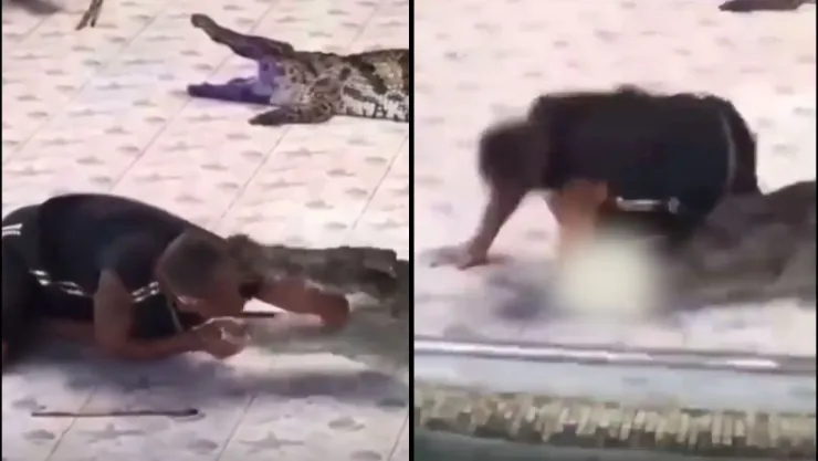 VIDEO: Captan a cocodrilo atacando a un hombre; su brazo quedó casi arrancado