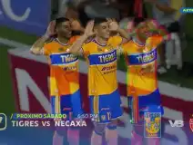 Tigres vs Necaxa en vivo y gratis por TV Azteca 7 Jornada 7 del Apertura 2026 de la Liga BBVA MX