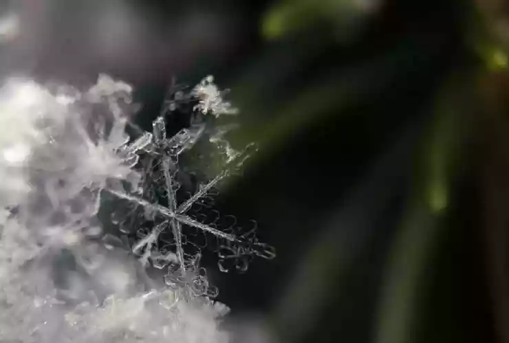 Las CONSECUENCIAS del frente frío 37 en Yucatán, hoy 10 de abril de 2025Proyecto nuevo