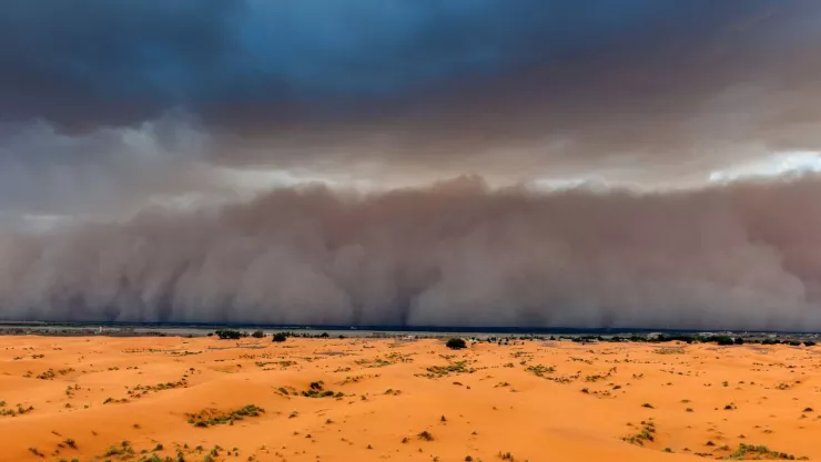¿Cuándo llega el Polvo del Sahara a México este 2024?