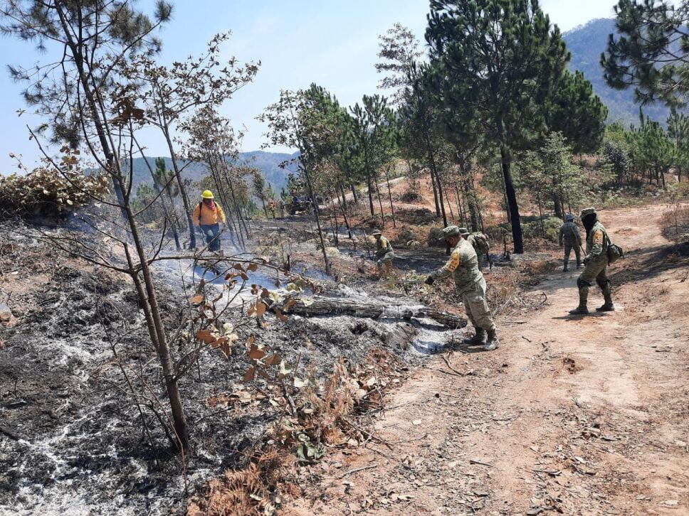 Sofocado incendio forestal en Ciudad Hidalgo (3).jpg
