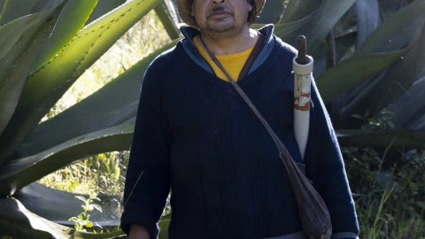 Don Miguel: tlachiquero