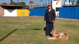 Discriminación por perros guía.