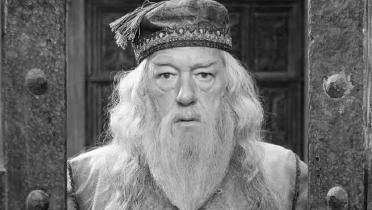 Este 28 de septiembre murió el famoso Michael Gambon, actor de Albus Dumbledore en Harry Potter.