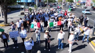 Marcha de la Generación Z en Celaya.png